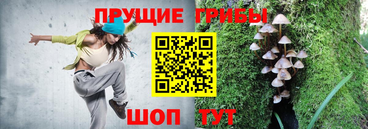 Псилоцибиновые грибы мухоморы Берёзовский
